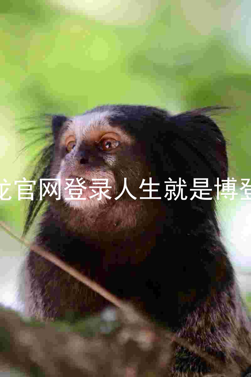 尊龙官网登录人生就是博登录
