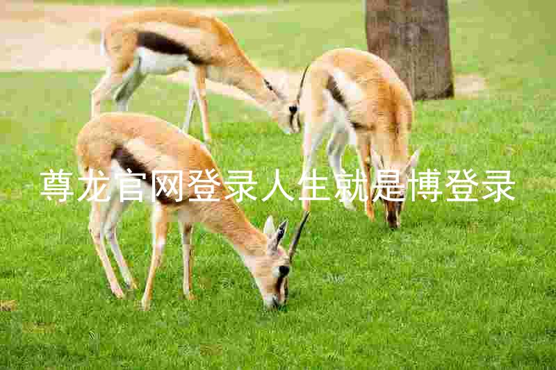 尊龙官网登录人生就是博登录